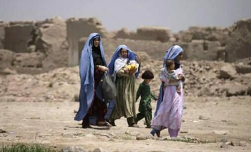 UNHCR to postpone Afghan refugees repatriation till February 18