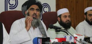 Proponents of Fata’s merger with KP are foreign agents, claims JUI-F leader