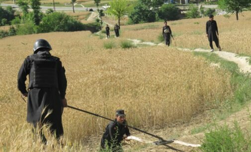 Eight bombs found near private school in Parachinar