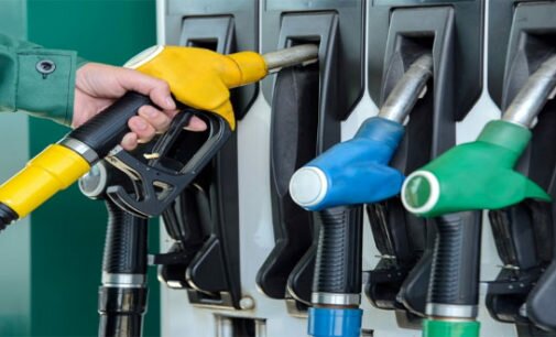 Government increases petroleum prices